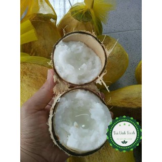 Dừa Sáp Cầu Kè Trà Vinh Loại Bi 600g-800g