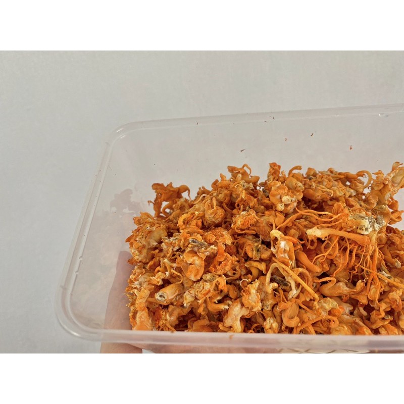 [Mã CORDY250K giảm 8%]Siêu tiết kiệm 10g Vụn Đông Trùng Hạ Thảo chia sẵn gói tiện lợi | BigBuy360 - bigbuy360.vn