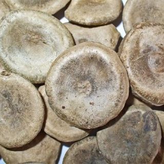 100g hạt mã tiền