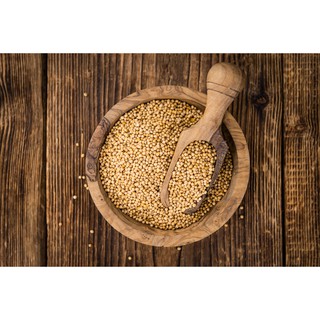 [HÀNG CHÍNH HÃNG] Hạt Mù Tạt Vàng – Mustard Seeds