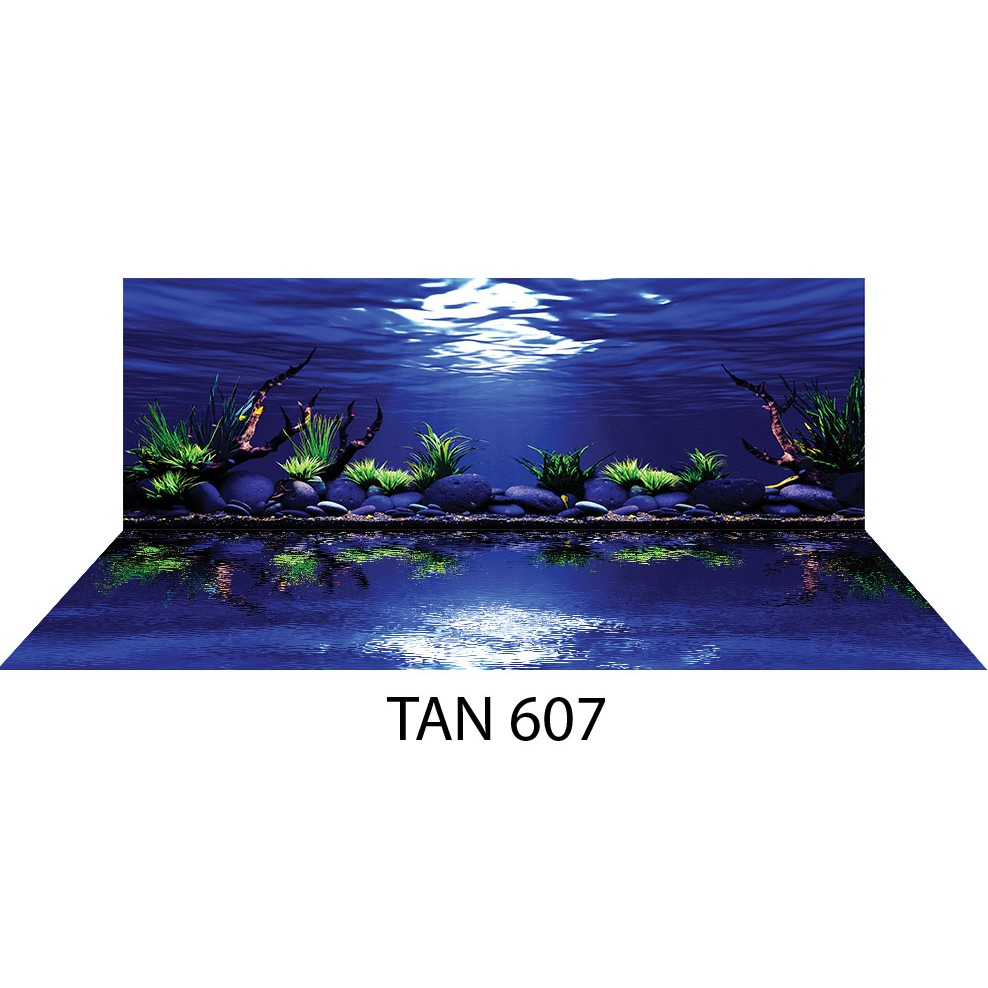 Tranh dán hồ cá 3D - dài 60cm x cao 40cm