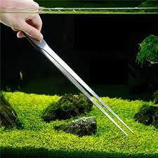 Nhíp cắm cây thủy sinh- hồ cá