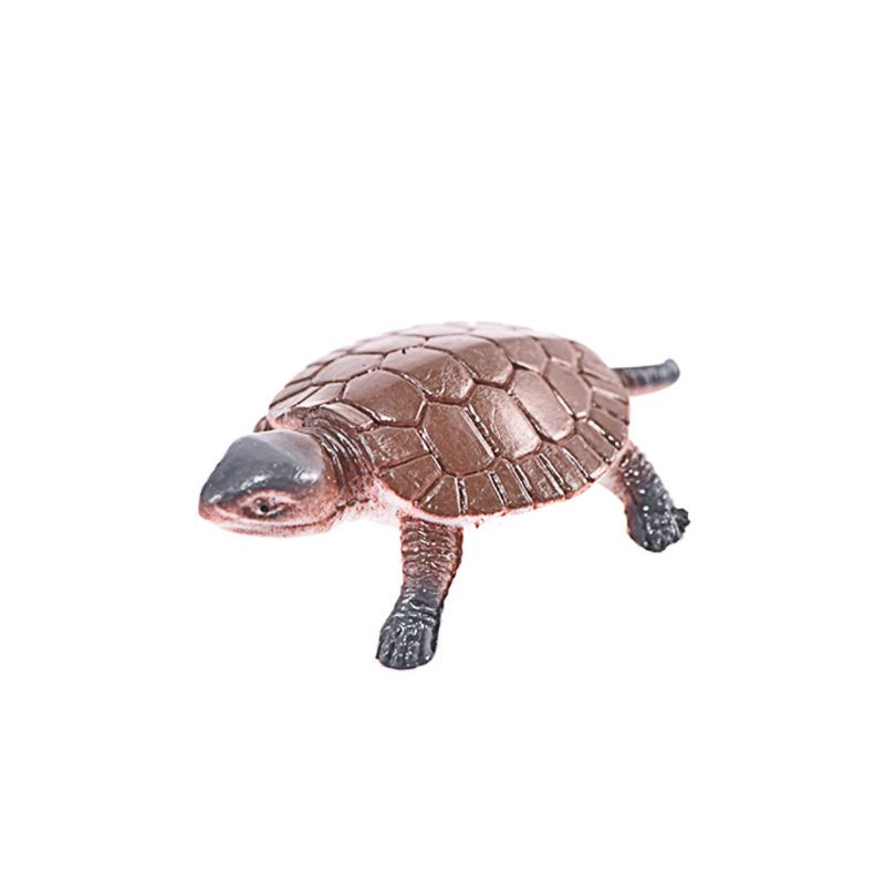 Set 12 Mô Hình Rùa Đồ Chơi Cho Bé