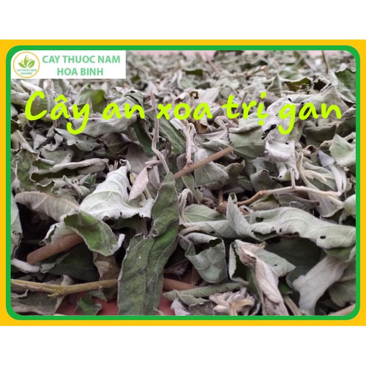 [GIÁ BUÔN] 1kg An xoa trị gan nhiễm mỡ (cam kết khô, sạch, mới) | BigBuy360 - bigbuy360.vn