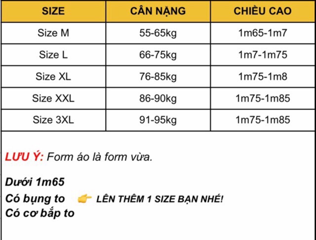 [Sale] ÁO THUN NAM THỂ THAO (55-100kg) Mịn mát co giãn tốt AN298 | WebRaoVat - webraovat.net.vn