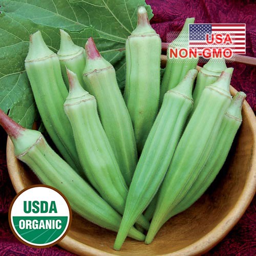 5Gr Hạt Giống Đậu Bắp Lùn Cao Sản Clemson