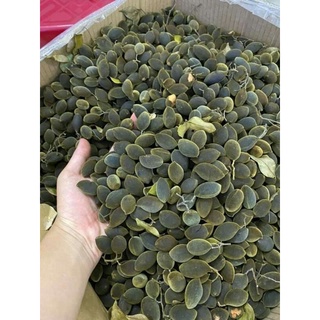 1kg xoay nguyên vỏ chín cây gia lai.