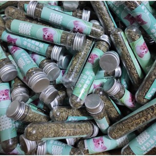 Catnip cỏ bạc hà dành cho mèo dạng ống