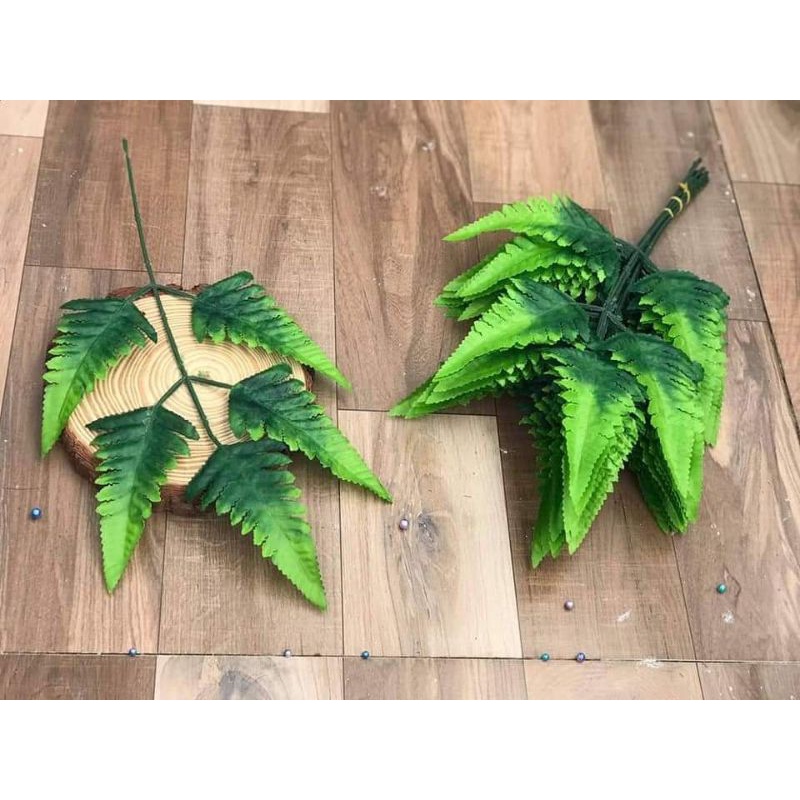 Sỉ 1 bó /10 Cành  Lá Dương Sỉ Trang Trí bình bát _ lá điểm trang trí