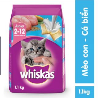 Whiskas junior 1.1kg- thức ăn dành cho mèo con