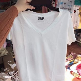 Áo phông Gap chất cotton tici