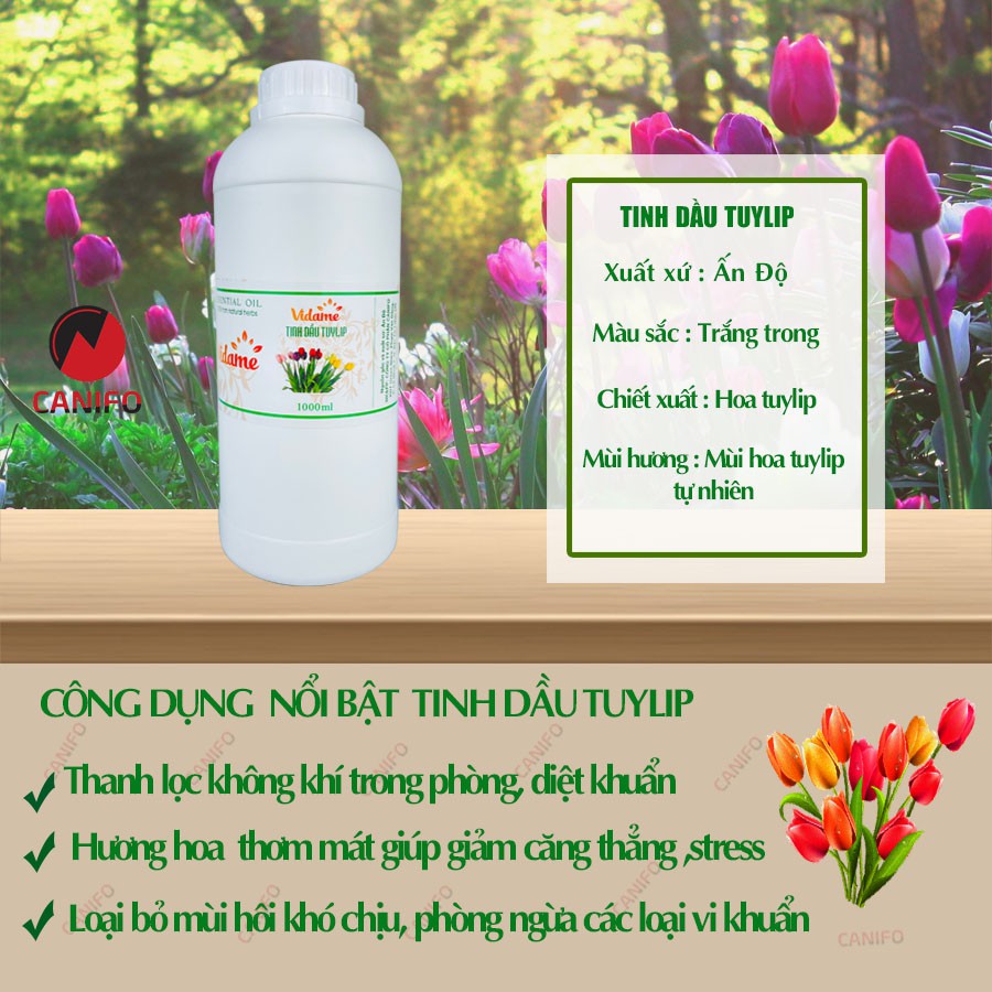 Tinh dầu hoa tuylip nguyên chất 1 lít Canifo đạt tiêu chuẩn kiểm định, tinh dầu nước hoa thơm phòng, xông phòng, khử mùi