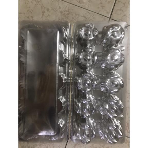 Combo 100 hộp nhựa chữ nhật đưng 10 quả trứng