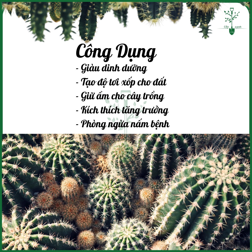 Phân Bón Trùn Quế Viên Nén HPD Cao Cấp Phân Bón Hữu Cơ Chuyên Cho Lan Và Cây Kiểng Gói 1kg