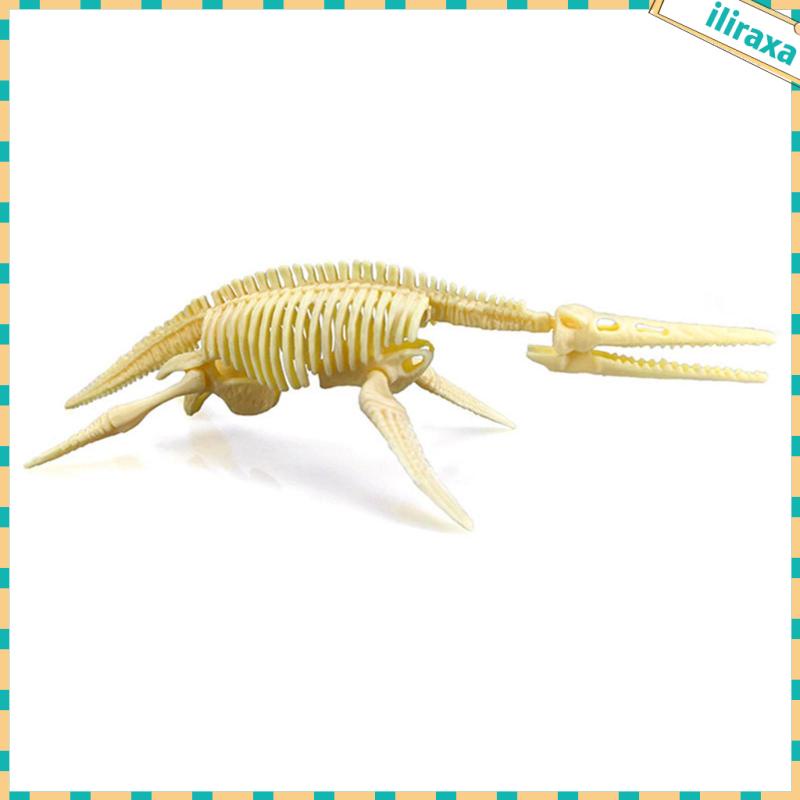 Set 7 Mô Hình Xương Khủng Long Đồ Chơi Giáo Dục Cho Bé