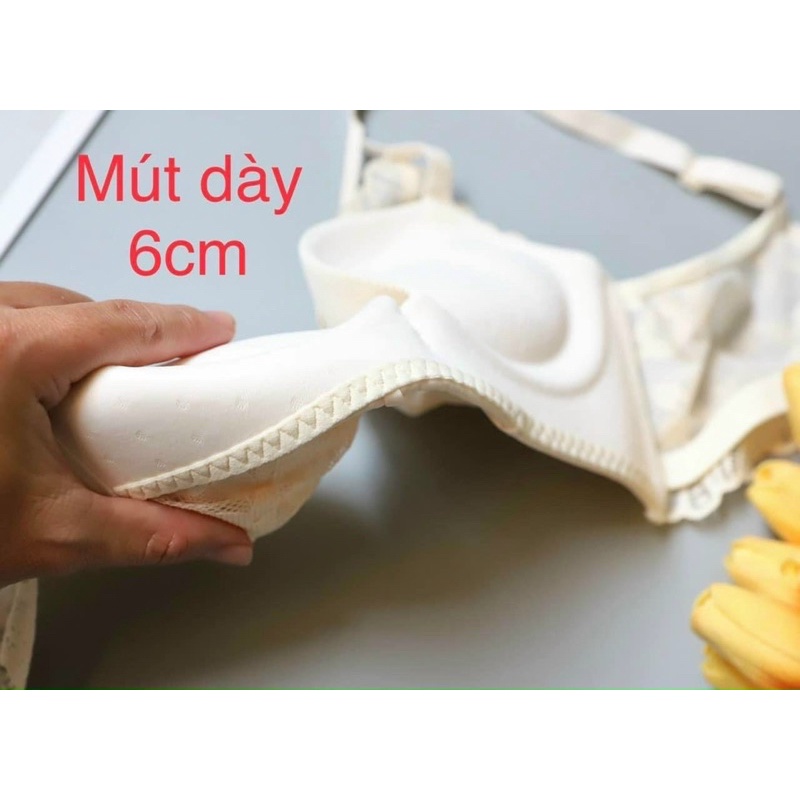 Áo Lót Ren Nâng Ngực Không Gọng Siêu Ôm Nâng Đẩy Tạo Khe Cao Cấp-Kho Sỉ Mai Xuân
