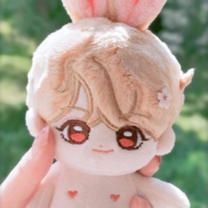 Doll BTS FujiMon & Kook Aid