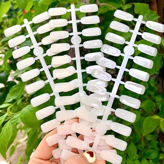 Móng giả gắn sổ Mẫu ( 120 móng/bich)