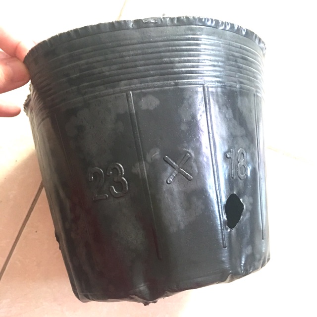 1kg chậu ươm cây nhựa dẻo đen 23-18 khoảng 80 bầu
