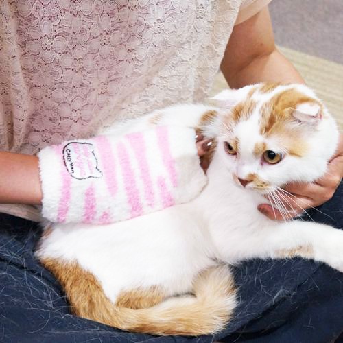 Bao tay chải lông cho mèo cưng Cattyman