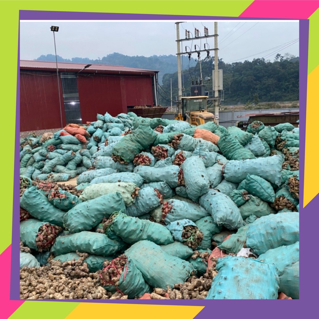 [Chính hãng - Miến dong Tài Hoan] Miến dong sợi to - miến dong đặc sản Bắc Kạn - Tài Hoan 5 Sao OCOP | BigBuy360 - bigbuy360.vn