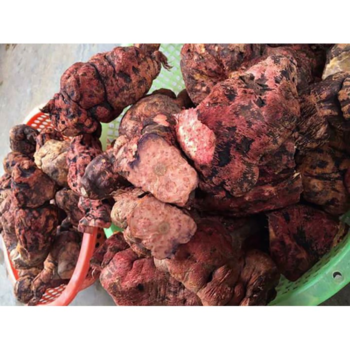 Hà Thủ Ô Tươi 2 kg