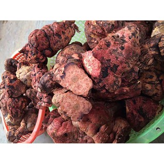 Hà Thủ Ô Tươi 2 kg