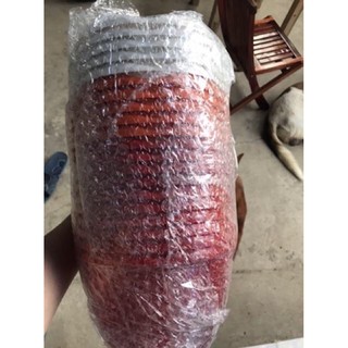 Chậu nhựa treo khía