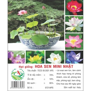 Hạt giống hoa sen nhật mini 5h