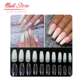 500 Móng úp form chuẩn size Hàn Quốc - Nail Store