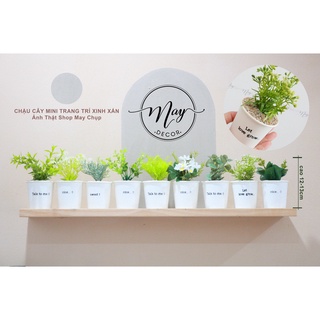 Cây giả, Chậu cây mini xinh xắn nhiều mẫu để bàn trang trí nhà cửa, chậu giấy