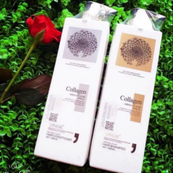 Bộ Gội Xả COLLAGEN VINGE 1000ML| Phục Hồi Tóc Hư Tổn Giúp Giảm Rụng Tóc, Ngăn Rụng Tóc | BigBuy360 - bigbuy360.vn