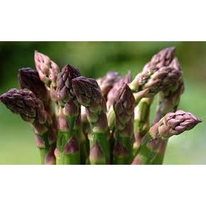 HẠT MĂNG TÂY TÍM CALIFORNIA - GÓI 1 GRAM