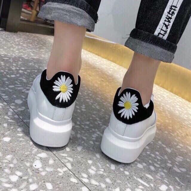 GIÀY THỂ THAO NAM NỮ MQ cúc,thường | BigBuy360 - bigbuy360.vn