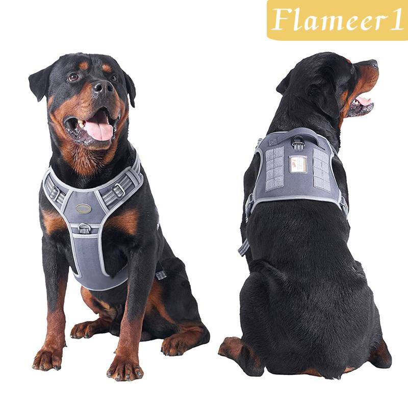 [Flameameer1] Áo Vest Phản Quang An Toàn Dành Cho Chó Cỡ Nhỏ / Vừa / Lớn