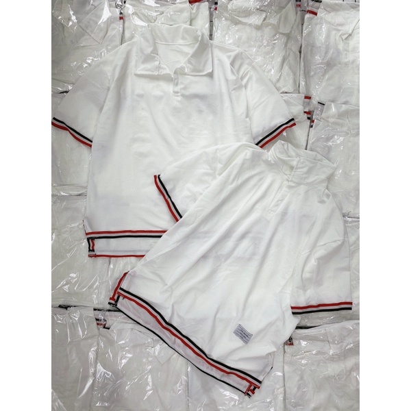 Áo Polo THOM Siêu Hot