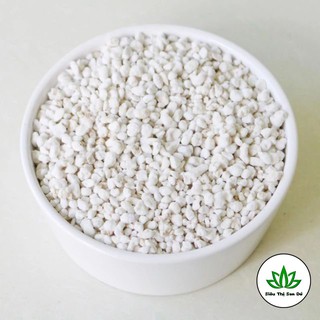 Đá Perlite Trồng Sen Đá, Xương Rồng (100g )