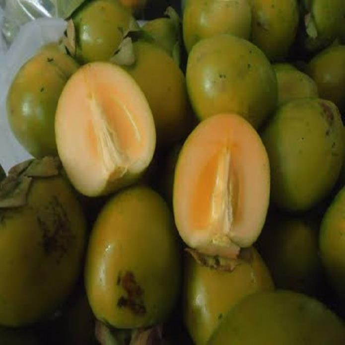 CÂY GIỐNG HỒNG GIÒN NHẬT BẢN SIÊU NGON SIÊU QUẢ