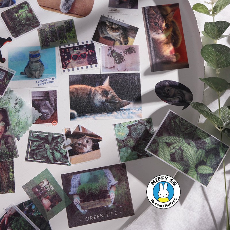 Bộ 40 washi sticker phong cách photography GOOD MORNING