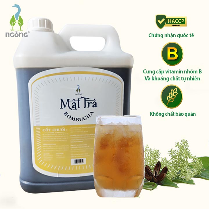 Mật Trà Kombucha Cốt chuối 5L