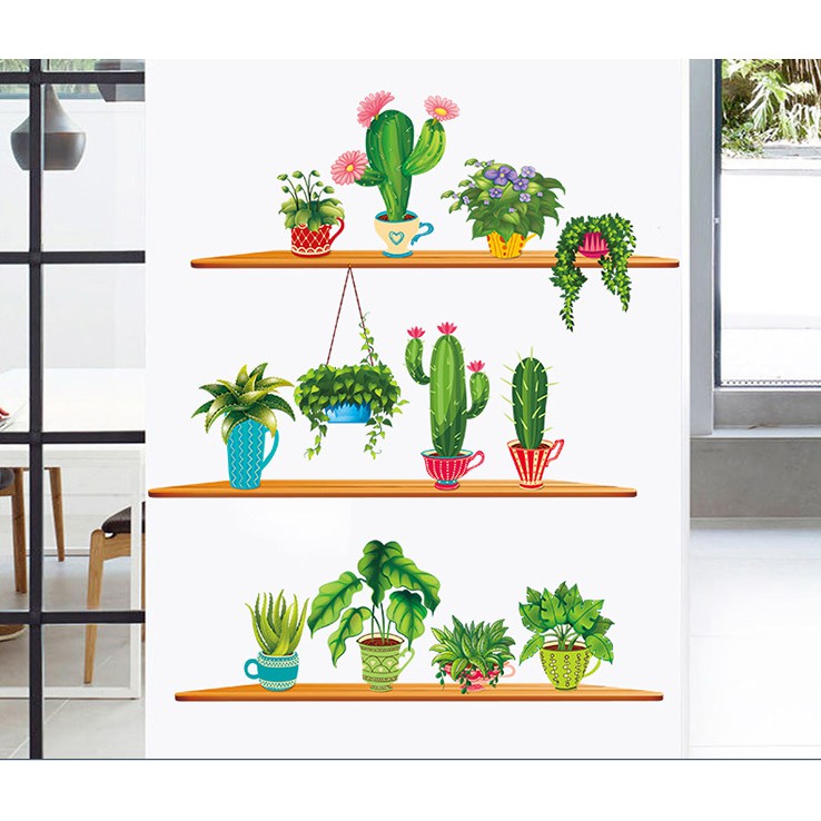 Decal trang trí tường Nhiều Chậu Xương Rồng