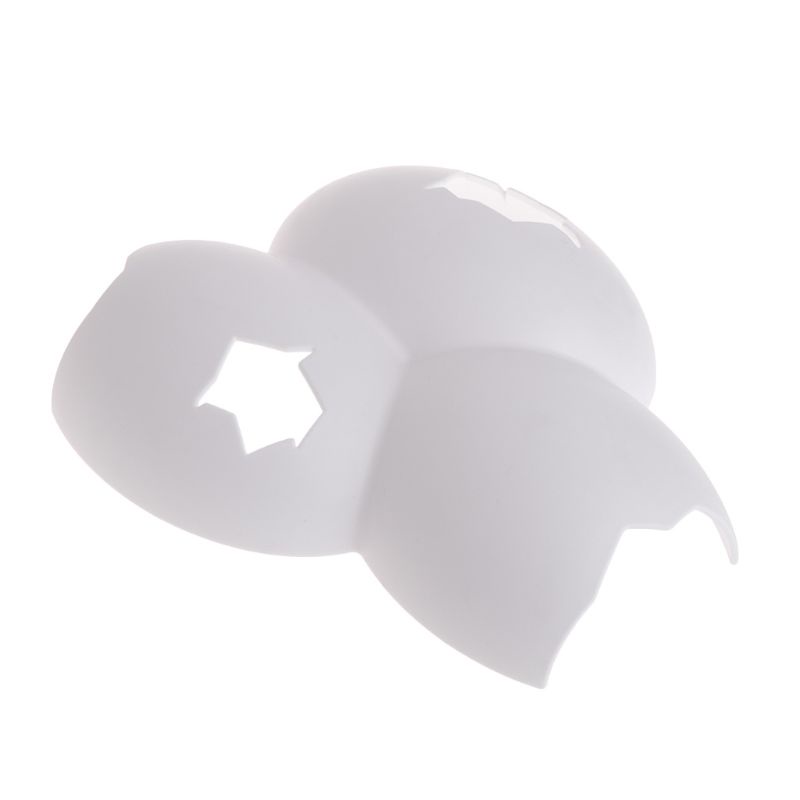 Hộp Nuôi Bò Sát / Bò Sát / Tarantula