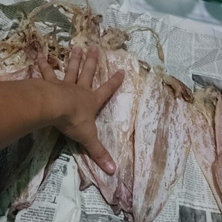 Mực khô hải phòng size 8-10