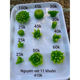 Khuôn silicon sen đá mã SDNN1 đại