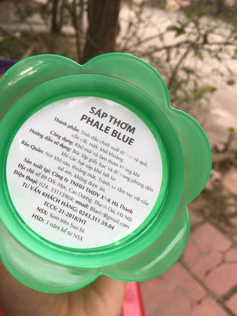 SÁP THƠM PHALE BLUE