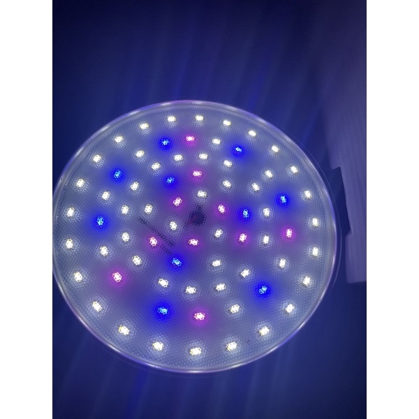 ĐÈN LED XIMA WRGB 20w / 40w - Đèn trồng cây thuỷ sinh - Bán cạn - Trong nhà