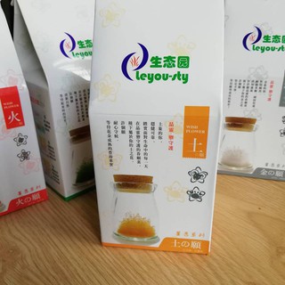 Bình ước nguyện hoa thủy tinh