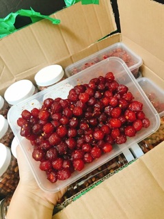 [FREESHIP 99K TOÀN QUỐC] CHÙM RUỘT RIM MUỐI ỚT