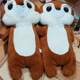 Gấu bông Behy