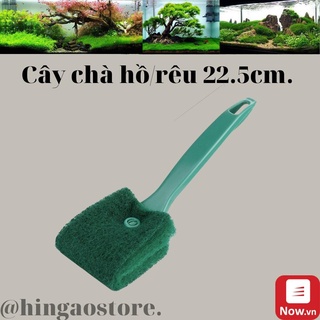 Lau kính hồ cá - dụng cụ vệ sinh chà hồ cho bể cá - cây chà hồ xanh